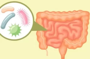 Cara Memperkuat Bakteri Baik