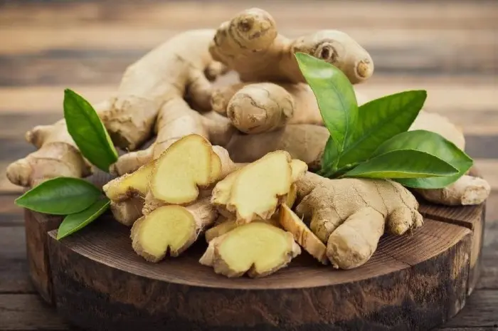 Obat Alami untuk Mengatasi Bau Mulut